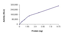 Sino Biological&nbsp;Recombinant Human FGFR2 Protein (C491F, GST Tag), Active